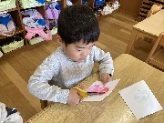 ちょうちょ組だより☆彡